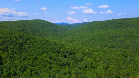 Luftaufnahme-Des-Waldes-In-Den-Catskill-Mountains,-Hudson-Valley,-In-Den-Appalachen-Im-Sommer