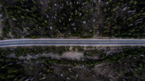 Right-Trucking-Aerial-top-bird's-eye-drone-shot-of-a-small-canyon-highway-in-the-Uinta-Wasatch-Cache-National-Forest-in-Utah-surrounded-by-large-pine-trees-on-a-gloomy-overcast-summer-day