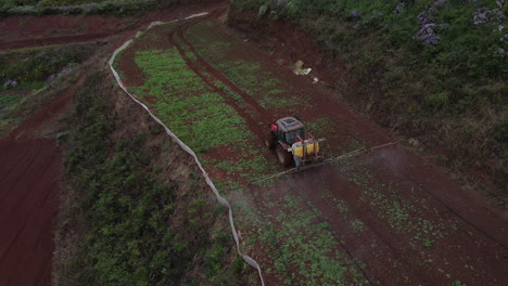 drone-shot-from-behind-over-tractor-spraying,-potato-plantations