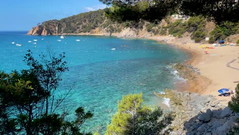 Costa-Brava-beautiful-virgin-beach-with-transparent-turquoise-waters-lush-pine-trees-and-rocks-yellow-sand-few-people-Gerona-Catalonia-Mediterranean-Panoramic-views-Tossa-de-Mar-cove-Llevad?