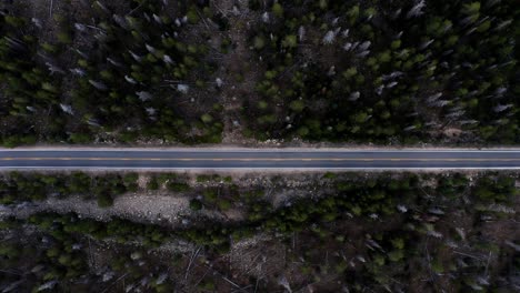Right-Trucking-Aerial-top-bird's-eye-drone-shot-of-a-small-canyon-highway-in-the-Uinta-Wasatch-Cache-National-Forest-in-Utah-surrounded-by-large-pine-trees-on-a-gloomy-overcast-summer-day