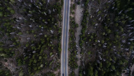Aerial-top-bird's-eye-drone-shot-of-a-small-canyon-highway-in-the-Uinta-Wasatch-Cache-National-Forest-in-Utah-surrounded-by-large-pine-trees-and-cars-passing-by-on-a-gloomy-overcast-summer-day