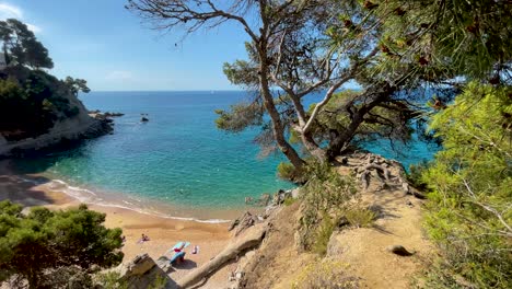 Costa-Brava-beautiful-virgin-beach-with-transparent-turquoise-waters-lush-vegetation-of-pine-trees-and-rocks-yellow-sand-few-people-Gerona-Catalonia-Mediterranean-views-Tossa-de-Mar-cove-Llevad?