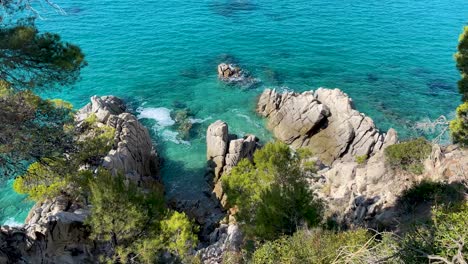 virgin-beach-with-transparent-turquoise-waters-lush-vegetation-of-pine-trees-and-rocks-yellow-sand-few-people-Gerona-Catalonia-Mediterranean-Panoramic-views-Tossa-de-Mar-cove-Llevad?