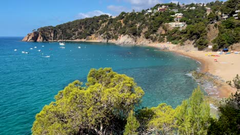 Costa-Brava-beautiful-virgin-beach-with-transparent-turquoise-waters-lush-vegetation-of-pine-trees-and-rocks-yellow-sand-few-people-Mediterranean-Panoramic-views-Tossa-de-Mar-cove-Llevad?