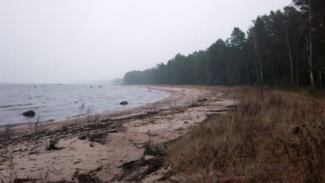 Estonia,-Parque-Nacional-Lahemaa,-Parque-Altja,-Larga-Playa-De-Arena-Costera-Desaparece-En-La-Niebla-En-Invierno