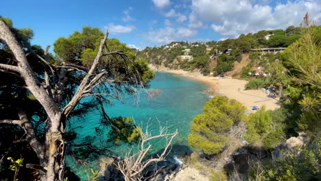 Costa-Brava-beautiful-virgin-beach-with-transparent-turquoise-waters-lush-vegetation-of-pine-trees-and-rocks-yellow-sand-Catalonia-Mediterranean-Panoramic-views-Tossa-de-Mar-cove-Llevad?