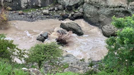 A-dead-tree-on-rock-on-the-raging-river-in-Debre-Libanos,-Debre-Birhan-water-fall