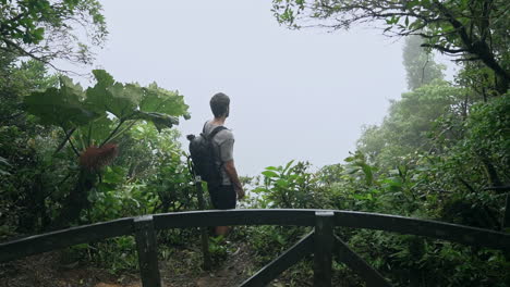 Man-stands-on-ledge-overlooking-fog-covered-rain-forest-on-stormy-day