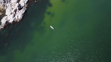 Antenne-Eine-Person,-Die-Auf-Sein-Sup-Zuschwimmt,-Aufnahme-Von-Oben-Nach-Unten,-Cascais,-Portugal