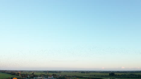 Flock-Of-Birds-Fly-In-A-Whirling-Motion-On-The-Blue-Sky-Under-The-Rural-Area-In-Gouda,-Netherlands