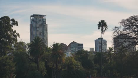 Blick-Auf-Die-Skyline-Von-Palermo,-Argentinien,-Das-über-Den-Bäumen-Auftaucht