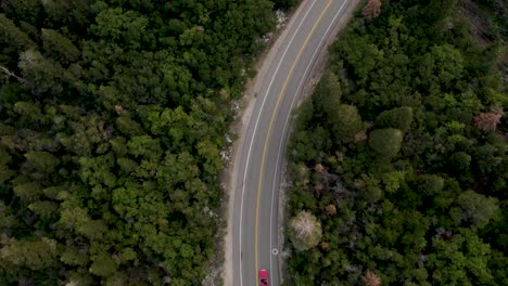 Aerial-top-down-forward-over-pink-Chevy-Impala-Convertible-drives-through-Big-Cottonwood-Canyon-Road,-Utah