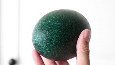 Large-green-Emu-bird-egg-in-hand