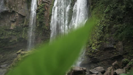 Man-stands-in-front-of-large-rain-forest-waterfall-with-leaves-in-foreground