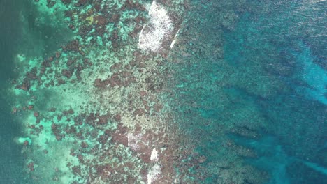 Cinematic-4k-aerial-shot-of-coral-reef-of-Roatan-island,-Honduras
