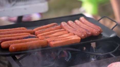 Hot-dogs-meat-beef-pork-and-veggie-sausages-vegetarian-plant-based-as-well-cooking-on-cast-iron-skillet-grill-at-campsite,-tight-shot-with-smoke-blowing-in-wind