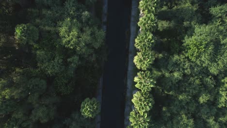 aerial-view-of-a-stream-with-palm-trees