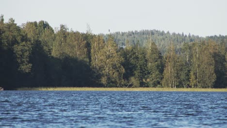 lake-and-trees,-forest---Jyvaskyla---4k-50fps