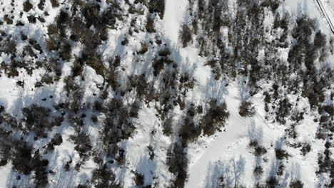Aerial-top-down-shot-of-idyllic-winter-landscape-with-trees-in-Patagonia-during-winter