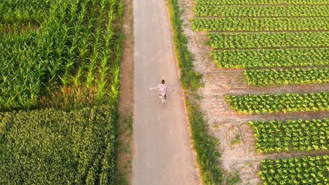 Young-man-cycling-with-outstretched-hands-between-green-crop-fields,-aerial,-top-view,-slow-motion
