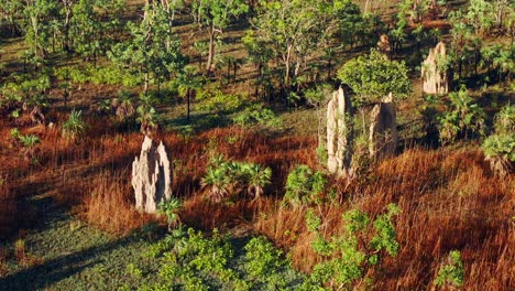 Imponentes-Montículos-De-Termitas-De-Un-Siglo-De-Antigüedad-En-El-Parque-Nacional-Litchfield,-Territorio-Del-Norte,-Australia