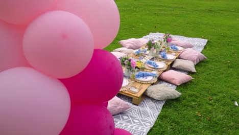 Verträumtes-Picknick-Im-Londoner-Park-Natur-Rosa-Luftballons-Und-Kissen-Mit-Gesunden-Getränken-Dekorative-Blumen-Zeitlupe
