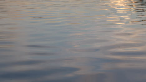 Sunset-reflection-over-smooth,-shimmering-sea.-Static-shot