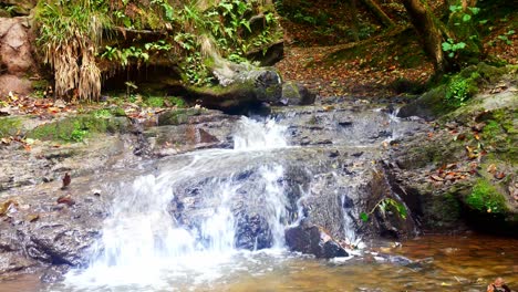 Kalter,-Klarer,-Flacher-Wasserfall,-Der-über-Herbstwaldfelsen-Im-Landschaftsparkwald-Kaskadiert