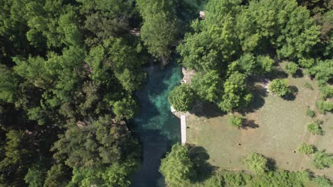 Aerial-view-of-a-river-with-trees