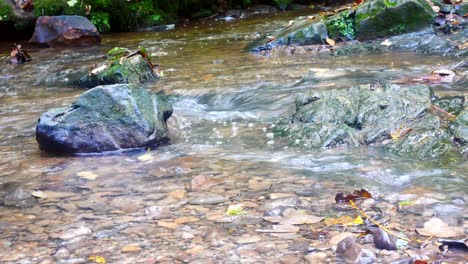 Clean-fresh-cold-autumn-woodland-copper-pebble-stream-gentle-flowing-along-wilderness-trail