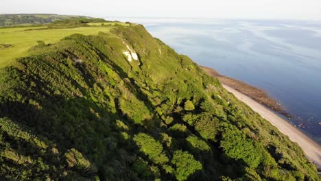 Aerial-View-Of-Sun-Lit-Green-Coastline-At-Littlecombe-Shoot-In-East-Devon