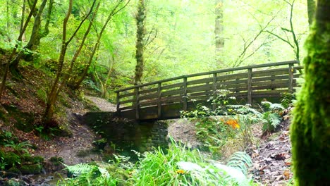 Scenic-wooden-log-bridge-crossing-over-nature-trail-stream-in-lush-Autumn-rural-forest-wilderness