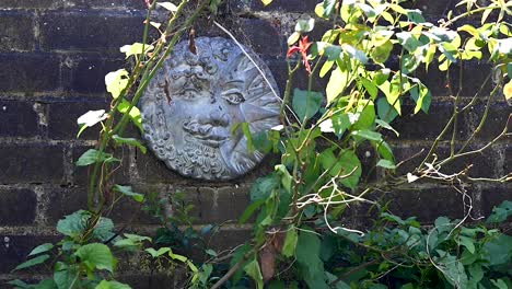 Time-Lapse-of-a-Sun-Plaque-Smiling-on-a-Wall-with-Green-Plants-Growing
