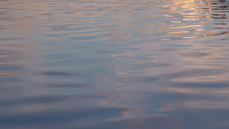 Reflection-on-water-surface-at-sunrise,-background-shot