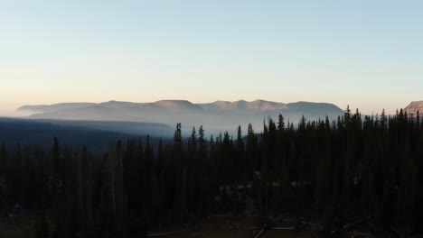 Beautiful-right-trucking-aerial-drone-shot-of-the-stunning-wild-Uinta-Wasatch-Cache-National-Forest-in-Utah-with-large-pine-trees-below-and-stunning-mountains-covered-in-mist-on-a-summer-morning