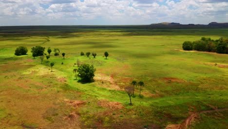 Prados-Verdes-Vibrantes-En-El-Parque-Nacional-De-Kakadu-Cerca-De-Las-Formaciones-Rocosas-De-Ubirr-En-El-Territorio-Del-Norte,-Australia