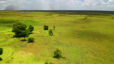 Grassy-Terrain-And-Wetlands-At-Kakadu-National-Park-In-Northern-Territory,-Australia
