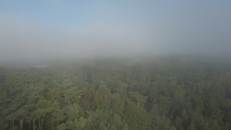 Drone-flying-towards-mist-covered-forest-at-the-edge-of-sand-dunes