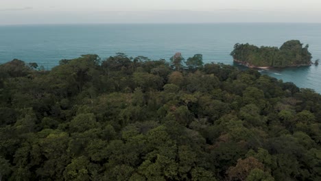 Bosque-Denso-En-La-Isla-Punta-Mona-Con-Paisaje-Marino-En-Costa-Rica