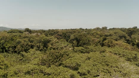 gorgeous-Tropical-island-drone-shot-of-Punta-Mona-Costa-Rica