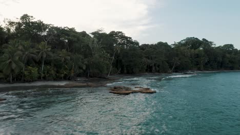 Green-Vegetation-At-The-Seashore-In-Punta-Mona-Ecoversity-In-Costa-Rica