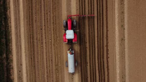 Drohnenflug-Aus-Der-Vogelperspektive-über-Traktor-Fährt-über-Feld-Und-übergießt-Junge-Salatpflanzen-Mit-Wasser