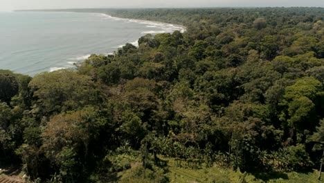 Aerial-flyover-green-palm-and-acacia-trees-and-beautiful-coastline-of-Punta-Mona-in-Costa-Rica---Nature-Reserve-growing-and-lighting-by-golden-sunset