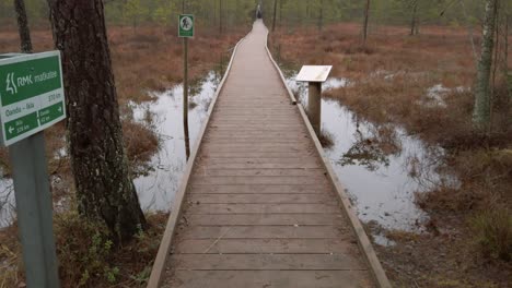 Estonia,-Lahemaa-National-Park,-Viru-Raba-Vaatetorn,-walking-path-inside-the-forest