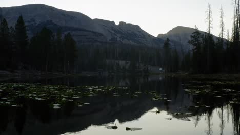 Luftdrohne,-Die-An-Einem-Nebligen-Sommermorgen-Beim-Camping-über-Den-Ruhigen-Schmetterlingssee-Mit-Seerosen-Den-Uinta-National-Forest-In-Utah-Mit-Großen-Felsigen-Bergen-Und-Pinien-Fliegt
