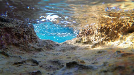 Malta,-Mellieha,-L-Armier-Bay,-Unterwasseraufnahmen,-Krebse,-Die-Auf-Den-Steinen-Unter-Der-Oberfläche-Klettern