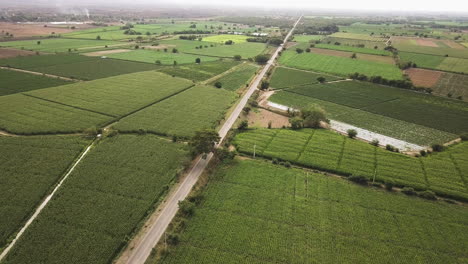 Einsame-Straße-Zwischen-Landwirtschaftlichen-Landwirtschaftsflächen,-Mexiko