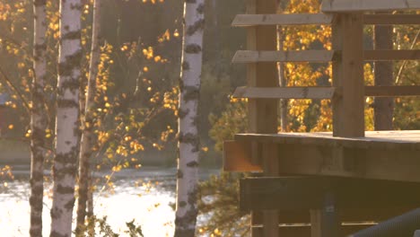 Blick-Durch-Die-Bäume-Des-Fließenden-Flusses-Am-Herbsttag