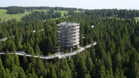 Treetop-Walk-Observatory,-Pohorje,-Rogla,-Slovenia,-Europe---Popular-Travel-Destination---aerial-drone-shot